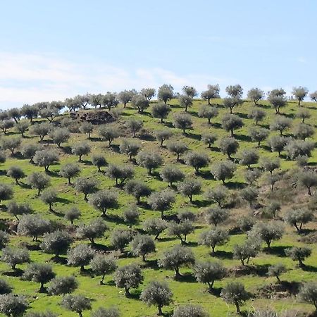 Agroturismo Casal De Castro Avantos 外观 照片