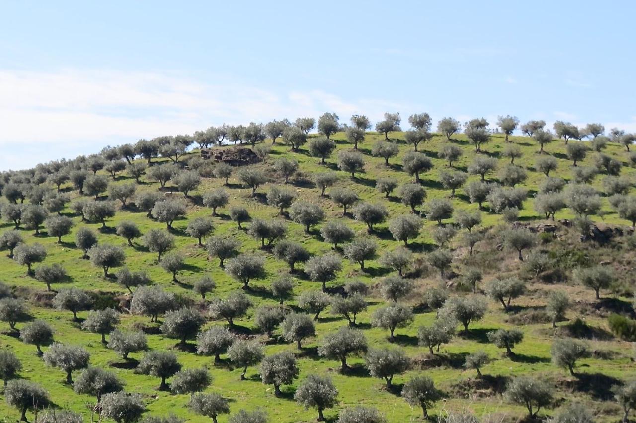 Agroturismo Casal De Castro Avantos 外观 照片